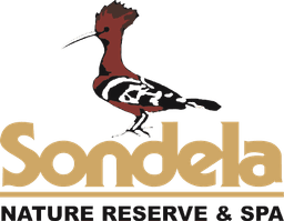 Sondela E-MTB / MTB Hybrid Event 2026